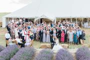 Thumbnail image 13 from Lordington Lavender