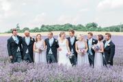 Thumbnail image 16 from Lordington Lavender