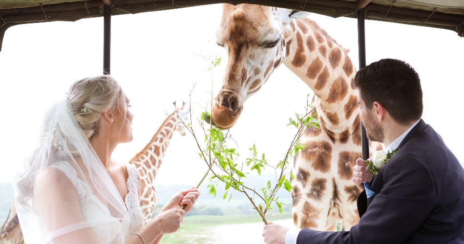 Image 1: Port Lympne Hotel & Reserve