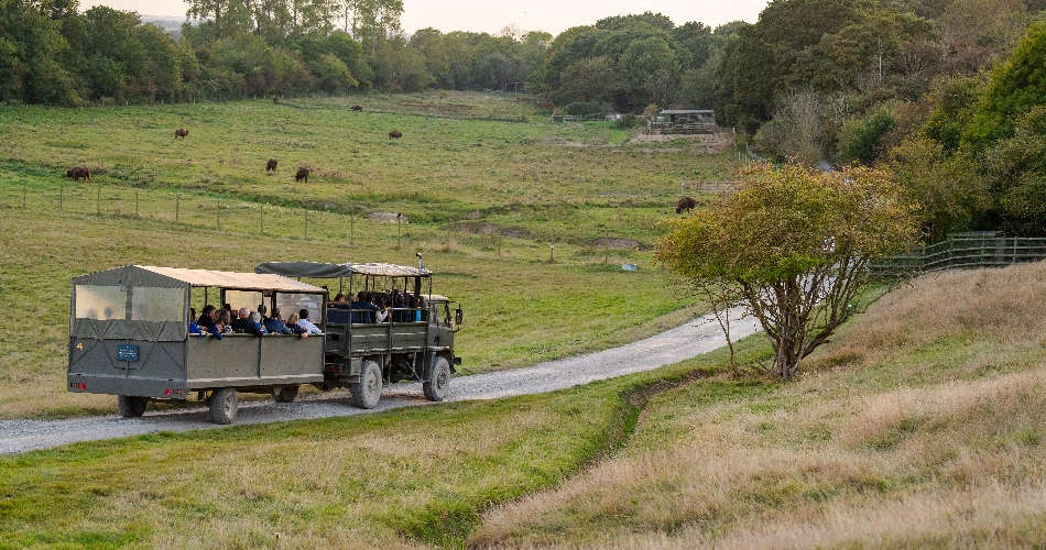 Image 3: Port Lympne Hotel & Reserve