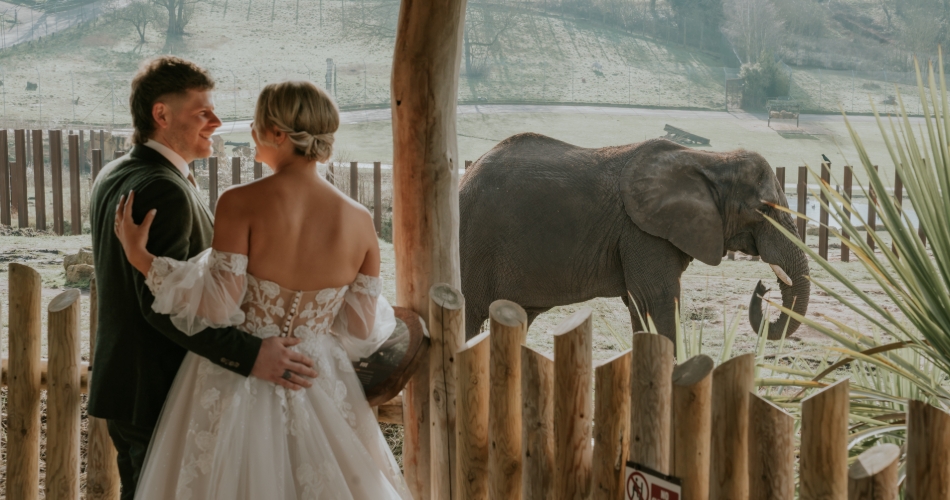 Image 2: West Midlands Safari Park