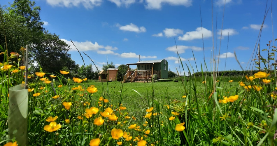 Image 1: Honey Meadow Retreat