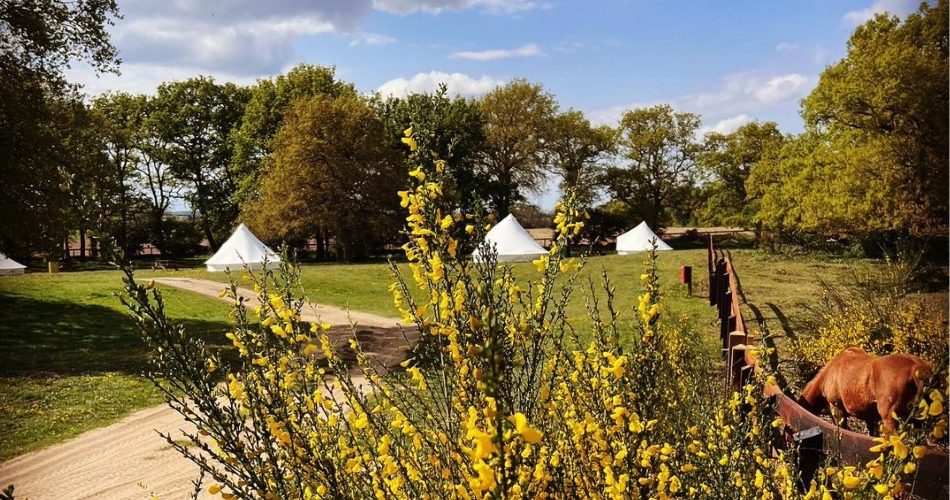 Image 1: Oak Lodge Glamping