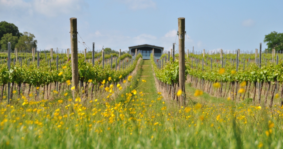 Image 2: Boutique Weddings Kent