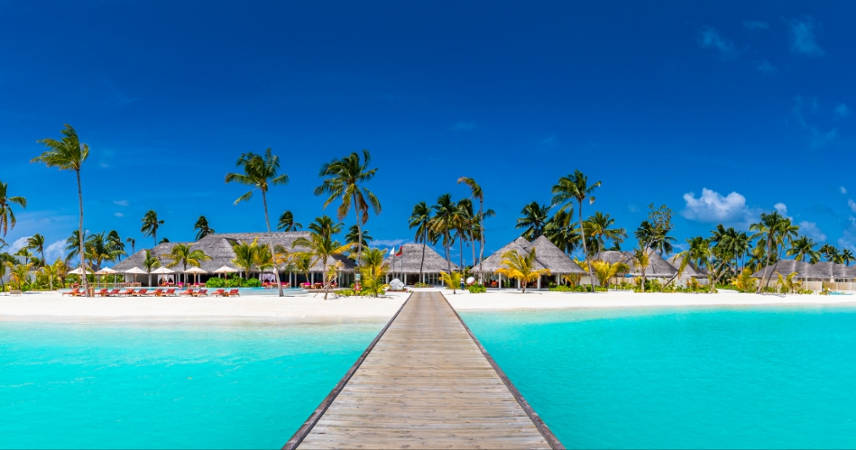 Image 3: KBN Travel