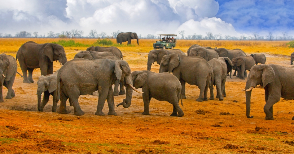 Image 2: Kim Van Rensburg-Travel Counsellors