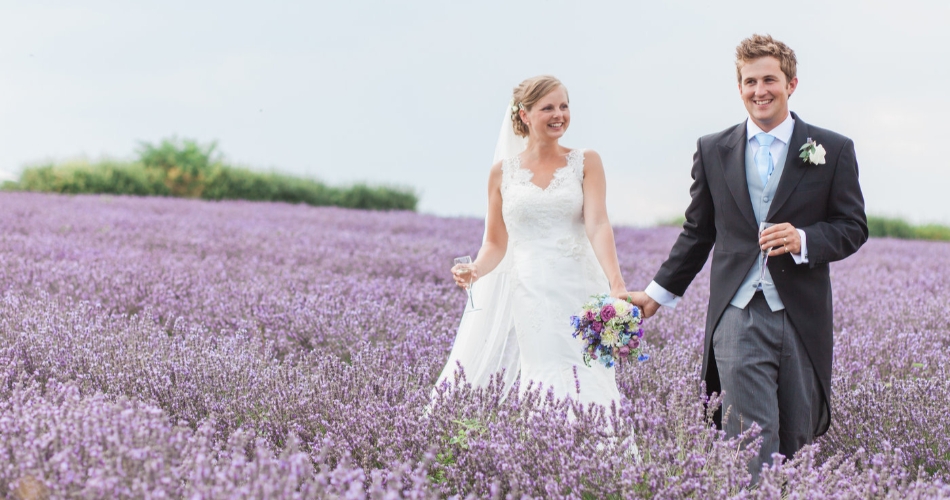 Image 3: Lordington Lavender