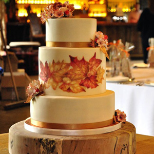 Sticky Sponge Cake Studio