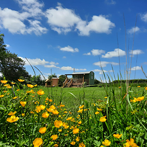 Honey Meadow Retreat