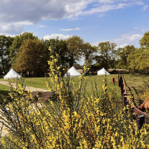Oak Lodge Glamping