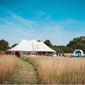 The Meadow Garden