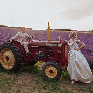 Lordington Lavender