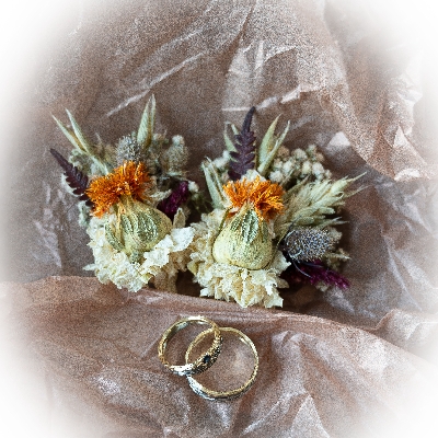 Image 3: Jane Stewart Photography