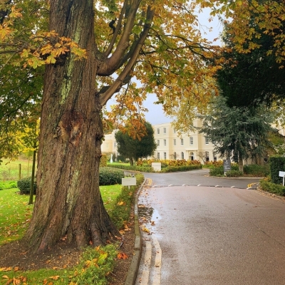 Image 3: Sopwell House