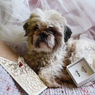 Unique gifts couples give each other on their wedding day