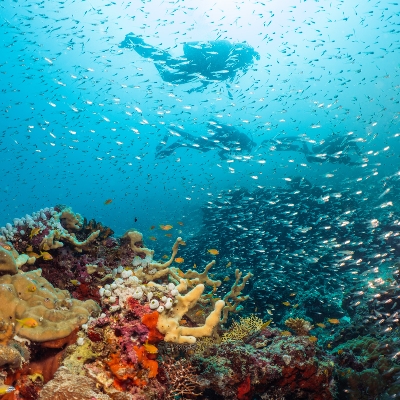 Maldives Hotel offers first for colour blind guests