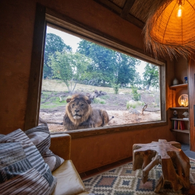 A pawfect stay