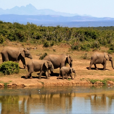 Honeymoon News: 2026 African honeymoon hotspots