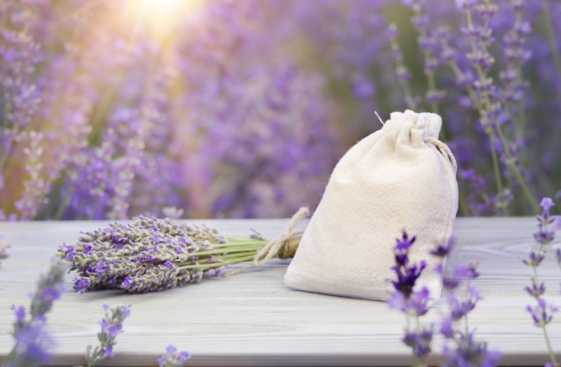 lavender flower on bench with field in background