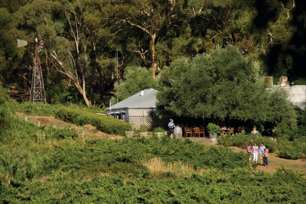 Barossa wine region