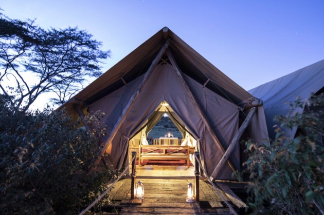 tent at night in the wilderness