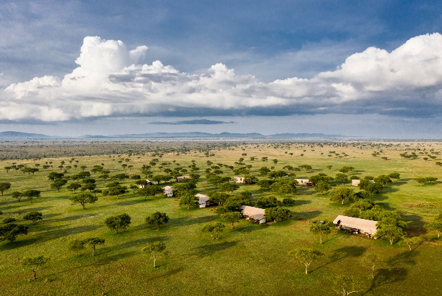 large bed with canopy on lodge safari views