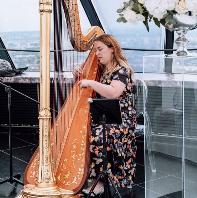 Harpist