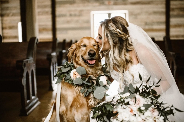 bride kissing golden retriever wearing a flower collar at a wedding