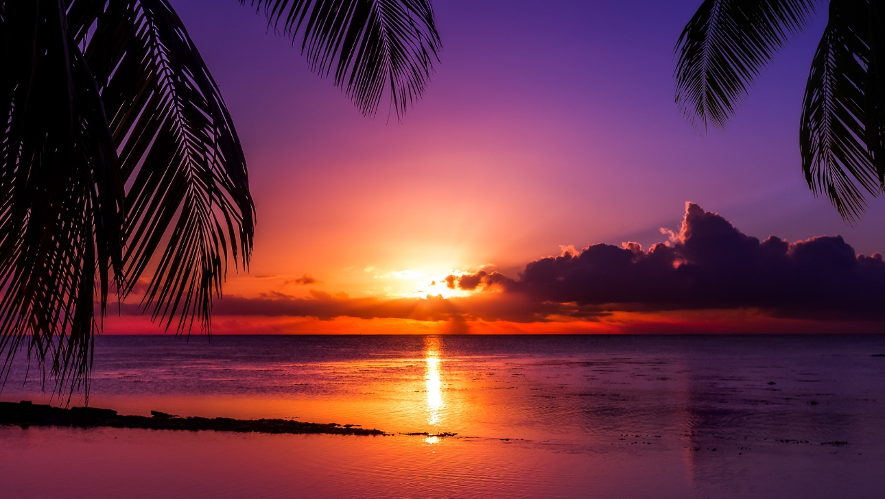 beach at sunset