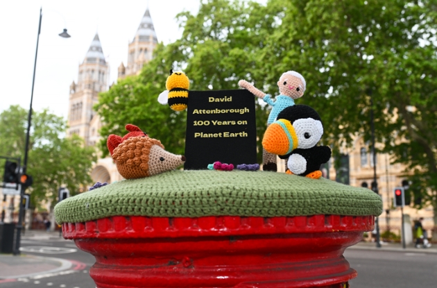 crochet Sir David Attenborough post box toppers
