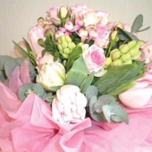 Pomp and Petals