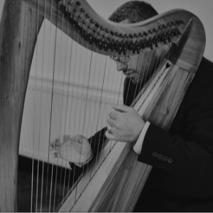 Mark Levin Contemporary Harpist