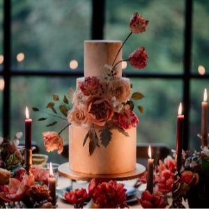 Wren Cake Design