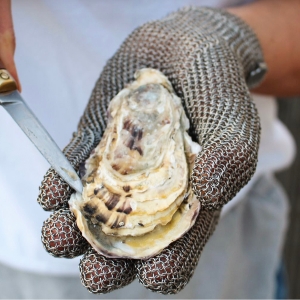 The Oyster Society