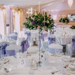 Distinctive Elegance