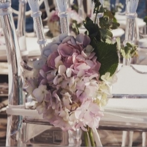 Distinctive Elegance