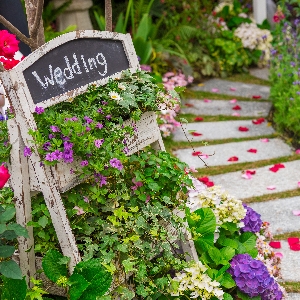 My Cornwall Wedding
