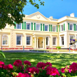The Lawn