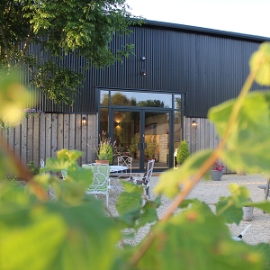 The Venue at Forest Edge Vineyard