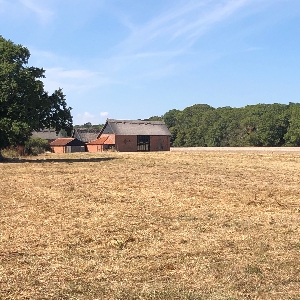 Wood Farm Barn