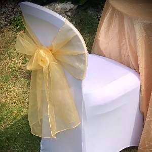 Wedding Day Hire