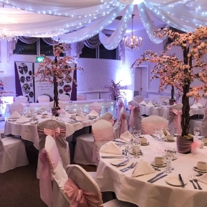 Event Perfection Ltd
