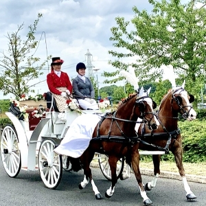 GO Equestrian Club CIC