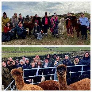 Wreay Syke Alpacas