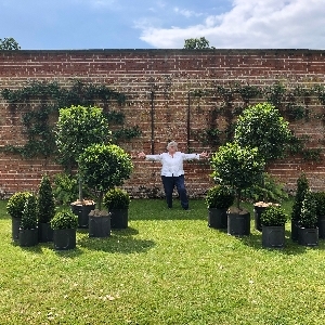 Posh Plants
