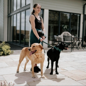 Hannah’s Wedding Dog Chaperone