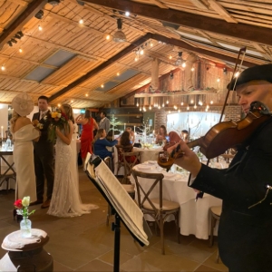 Daniel Axworthy Wedding Violinist