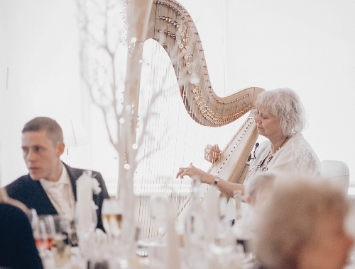 Image 2 from Helen Barley Harpist