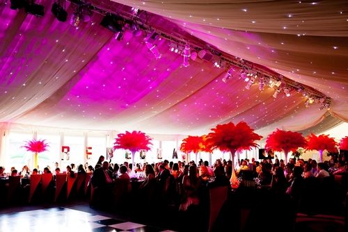 Gallery image: 24912_2.jpg 