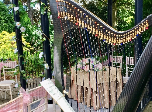 Image 2 from Helen Barley Harpist